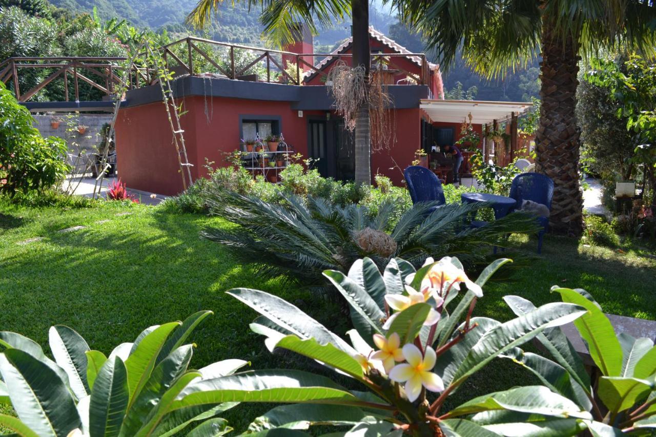 Maderedocevida Bed & Breakfast Boaventura Luaran gambar