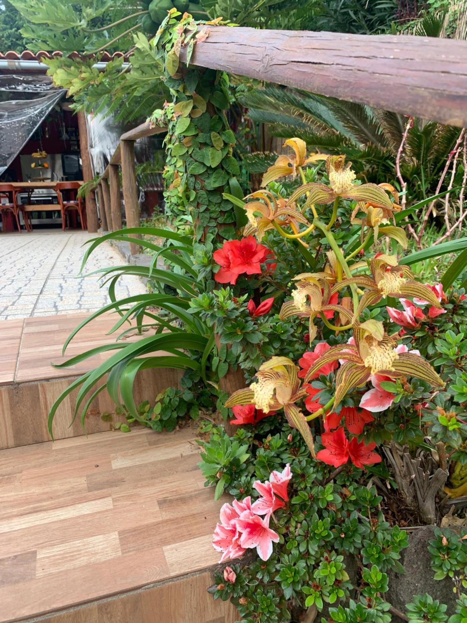 Maderedocevida Bed & Breakfast Boaventura Luaran gambar