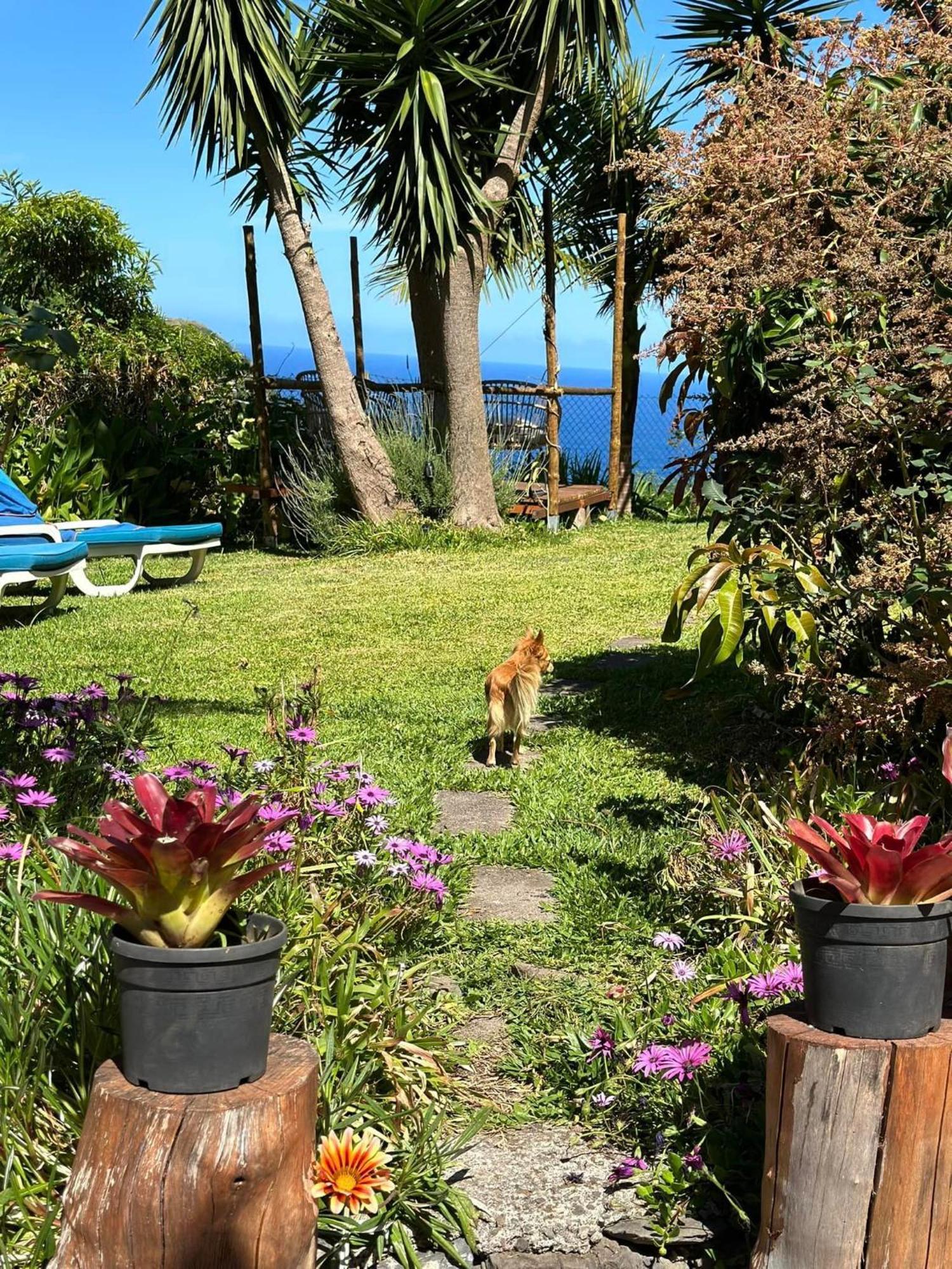Maderedocevida Bed & Breakfast Boaventura Luaran gambar