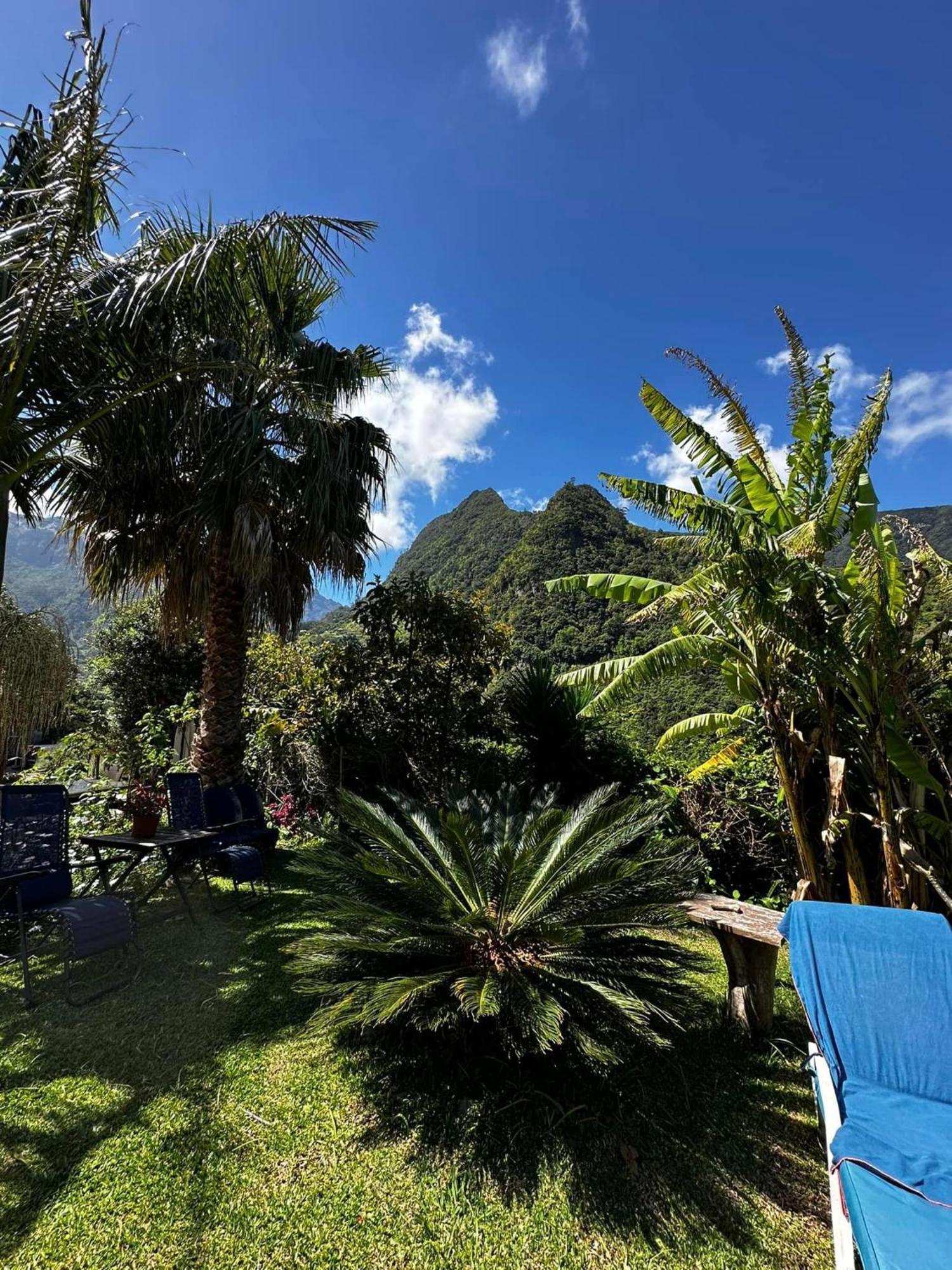 Maderedocevida Bed & Breakfast Boaventura Luaran gambar